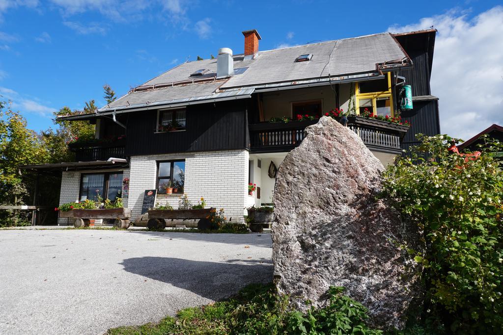 Guest House Beli Kamen Vojsko Exterior photo