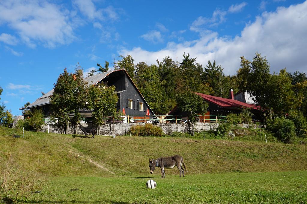 Guest House Beli Kamen Vojsko Exterior photo